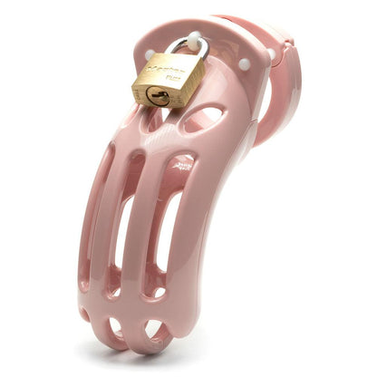 The Curve Chastity Cock Cage Kit - Pink - Pink 3.75 Inch Cock Cage Kit - CRV-PNK