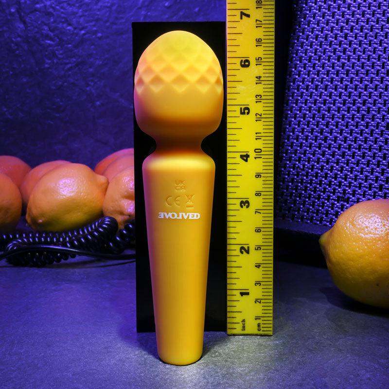 Evolved SUNSHINE - Yellow 17 cm USB Rechargeable Massage Wand - EN-RS-1324-2