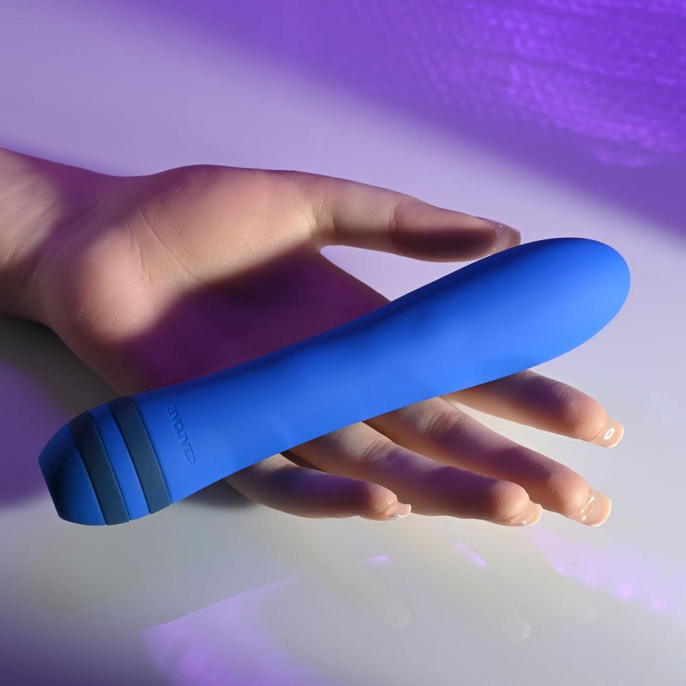 Evolved THE PLEASER - Blue 16.5 cm USB Rechargeable Vibrator - EN-RS-3649-2