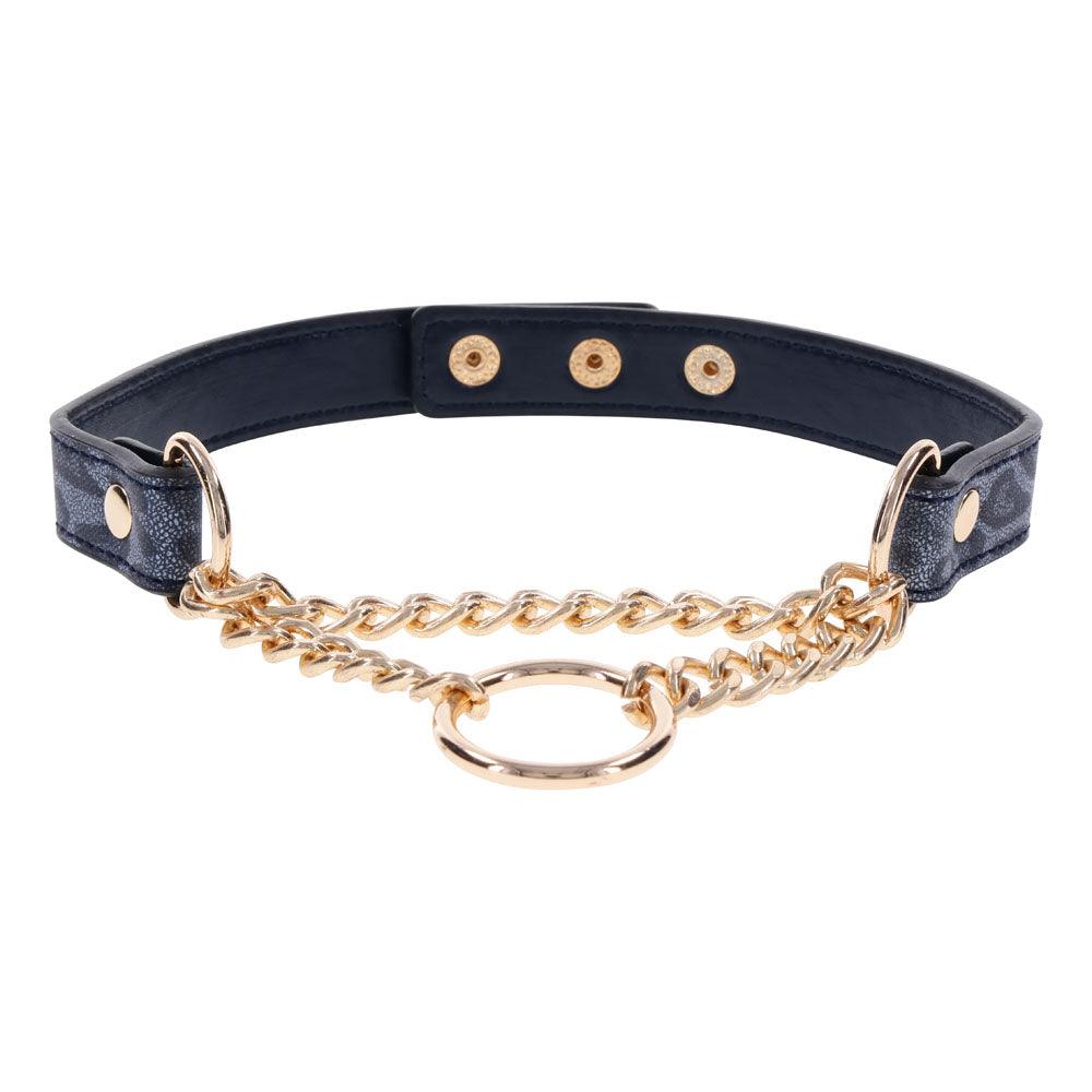 Sex & Mischief Cougar Day Collar - Navy Blue/Gold Collar - SS09974