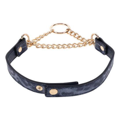 Sex & Mischief Cougar Day Collar - Navy Blue/Gold Collar - SS09974